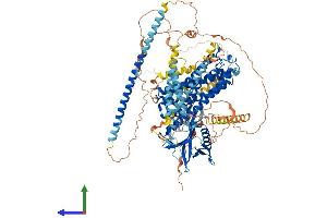 Protein Structure (PS) image for rho/rac Guanine Nucleotide Exchange Factor (GEF) 2 (ARHGEF2) (AA 1-985) protein (His tag) (ABIN7563886)