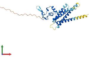 Protein Structure (PS) image for ARV1 Homolog (ARV1) (AA 1-271) protein (His tag) (ABIN7552341)