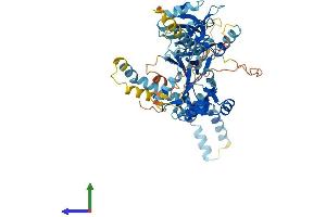 AlphaFold protein structure predicition of Mouse Recombinant Mpp3 Protein, UniprotID O88910