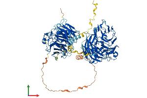 AlphaFold protein structure predicition of Mouse Recombinant Coro7 Protein, UniprotID Q9D2V7 (Coronin 7 Protein (CORO7) (AA 1-922) (His tag))