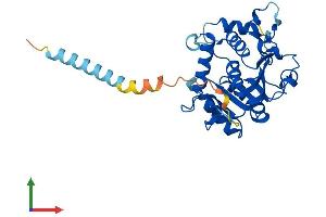 Protein Structure (PS) image for ST6 (Alpha-N-Acetyl-Neuraminyl-2,3-beta-Galactosyl-1,3)-N-Acetylgalactosaminide alpha-2,6-Sialyltransferase 4 (ST6GALNAC4) (AA 1-302) protein (His tag) (ABIN7546001)