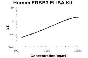 Human ERBB3/Her3 PicoKine ELISA Kit standard curve (ERBB3 ELISA 试剂盒)