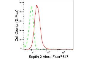Flow cytometric analysis of Septin 2 expression in C2C12 cells using Septin 2 antibody (ABIN7800295), 1:2,000). (Recombinant Septin 2 抗体)