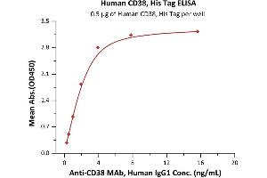 CD38 (AA 43-300) (Active) protein (His tag)