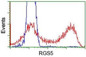 HEK293T cells transfected with either RC206857 overexpress plasmid (Red) or empty vector control plasmid (Blue) were immunostained by anti-RGS5 antibody (ABIN2454700), and then analyzed by flow cytometry. (RGS5 抗体)