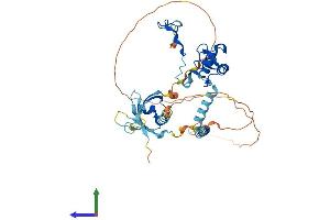 Protein Structure (PS) image for Ring Finger Protein 1 (RING1) (AA 1-406) protein (His tag) (ABIN7562375)