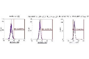 Flow Cytometry (FACS) image for anti-Peptidylprolyl Isomerase G (Cyclophilin G) (PPIG) (AA 1-175) antibody (PE) (ABIN5567270) (PPIG 抗体  (AA 1-175) (PE))