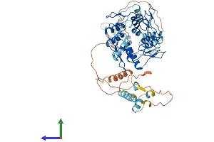 Protein Structure (PS) image for Zinc Finger Protein 565 (ZNF565) (AA 1-539) protein (His tag) (ABIN7545565)