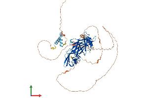 Protein Structure (PS) image for Grainyhead-Like 2 (GRHL2) (AA 1-625) protein (His tag) (ABIN7554057)