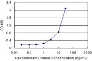 AMBP (Human) Matched Antibody Pair