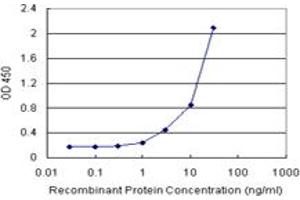 Sandwich ELISA detection sensitivity ranging from 1 ng/mL to 100 ng/mL. (AMBP (人) Matched Antibody Pair)