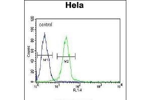 Flow cytometric analysis of Hela cells (right histogram) compared to a negative control cell (left histogram). (EWSR1 抗体  (C-Term))