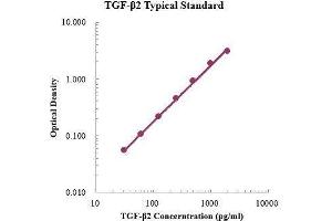 ELISA image for Transforming Growth Factor, beta 2 (TGFB2) ELISA Kit (ABIN3198481)