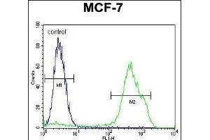 RNF19B Antibody (Center) (ABIN655130 and ABIN2844757) flow cytometric analysis of MCF-7 cells (right histogram) compared to a negative control cell (left histogram). (RNF19B 抗体  (AA 369-398))