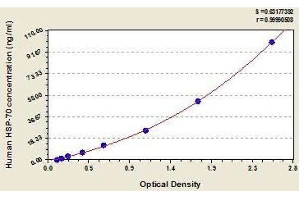 HSPA1B ELISA 试剂盒