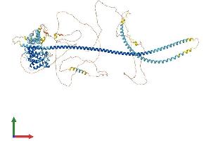 Protein Structure (PS) image for Tuberous Sclerosis 1 (TSC1) (AA 1-1164) protein (His tag) (ABIN7555879)