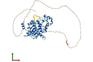 Protein Structure (PS) image for Cyclin-Dependent Kinase 19 (CDK19) (AA 1-501) protein (His tag) (ABIN7558959)