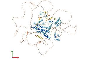 Protein Structure (PS) image for Splicing Factor, Arginine/serine-Rich 14 (SFRS14) (AA 1-1067) protein (His tag) (ABIN7564578)