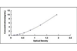 Typical standard curve (SYNPO2 ELISA 试剂盒)