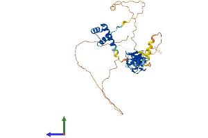 Protein Structure (PS) image for LIM Homeobox 2 (LHX2) (AA 1-406) protein (His tag) (ABIN7556351)