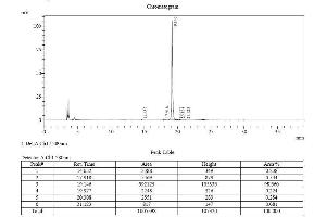 Image no. 2 for Fibroblast Growth Factor 8 (Androgen-Induced) (FGF8) (AA 23-215) (Active) protein (ABIN2017828) (FGF8 Protein (AA 23-215))