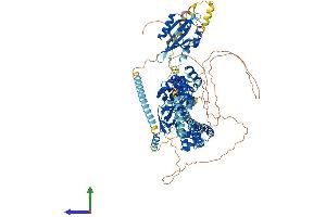 Protein Structure (PS) image for Potassium Voltage-Gated Channel, Subfamily H (Eag-Related), Member 1 (KCNH1) (AA 1-989) protein (His tag) (ABIN7554236)