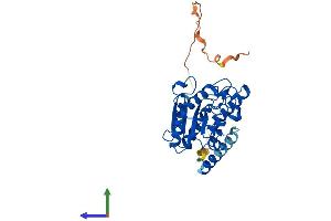 AlphaFold protein structure predicition of Human Recombinant UNG Protein, UniprotID P13051