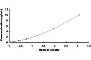 Typical standard curve (Serotonin Receptor 1A ELISA 试剂盒)