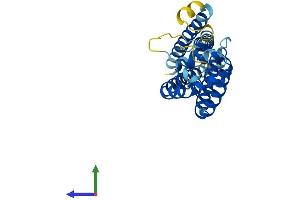 Protein Structure (PS) image for CD82 (CD82) (AA 1-267) protein (His tag) (ABIN7553026)