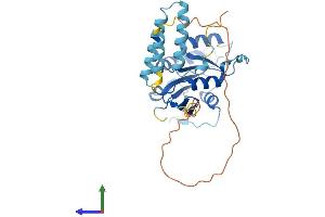 Protein Structure (PS) image for alpha- and gamma-Adaptin Binding Protein (AAGAB) (AA 1-315) protein (His tag) (ABIN7551752)