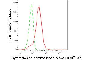 Flow cytometric analysis of Cystathionine gamma-lyase expression in HepG2 cells using Cystathionine gamma-lyase antibody (ABIN7798232), 1:2,000).
