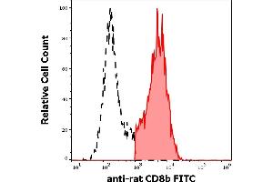 Separation of rat CD8b positive cells (red-filled) from CD8b negative cells (black-dashed) in flow cytometry analysis (surface staining) rat splenocyte suspension stained using anti-rat CD8b (341) FITC antibody (concentration in sample 1 μg/mL). (CD8B 抗体  (FITC))