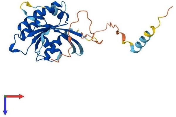RASL11B Protein (AA 1-247) (His tag)