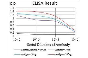 Black line: Control Antigen (100 ng), Purple line: Antigen(10 ng), Blue line: Antigen (50 ng), Red line: Antigen (100 ng), (ROR2 抗体  (AA 59-155))