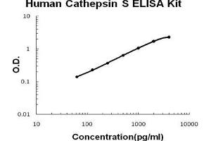 Human Cathepsin S PicoKine ELISA Kit standard curve (Cathepsin S ELISA 试剂盒)