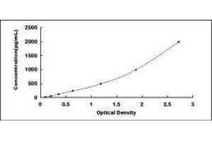Protein Kinase C, alpha (PKCa) ELISA Kit