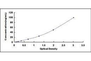 ELISA image for Histatin 3 (HTN3) ELISA Kit (ABIN418228)