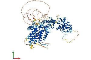 AlphaFold protein structure predicition of Human Recombinant BBS12 Protein, UniprotID Q6ZW61