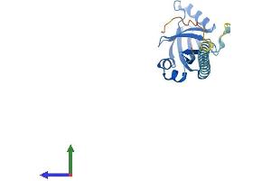 Protein Structure (PS) image for Core-Binding Factor, beta Subunit (CBFB) (AA 1-187) protein (His tag) (ABIN7556918)