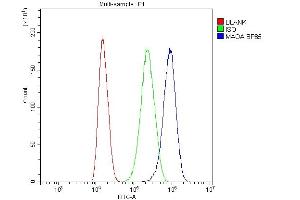 Flow Cytometry analysis of U87 cells using anti-MAOA antibody (ABIN3043872). (Monoamine Oxidase A 抗体  (C-Term))