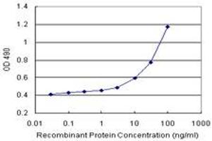 Sandwich ELISA detection sensitivity ranging from 3 ng/mL to 100 ng/mL. (OXSR1 (人) Matched Antibody Pair)