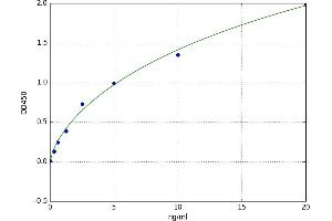 Pim-1 Oncogene (PIM1) ELISA Kit