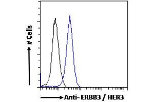 ABIN185461 Flow cytometric analysis of paraformaldehyde fixed MCF7 cells (blue line), permeabilized with 0.