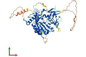 Protein Structure (PS) image for Methyltransferase Like 4 (METTL4) (AA 1-472) protein (His tag) (ABIN7549401)
