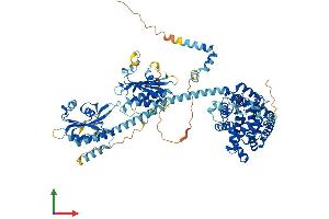 Protein Structure (PS) image for phosphodiesterase 5A, cGMP-Specific (PDE5A) (AA 1-875) protein (His tag) (ABIN7554905)