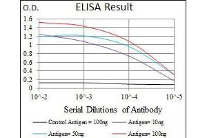 Black line: Control Antigen (100 ng), Purple line: Antigen(10 ng), Blue line: Antigen (50 ng), Red line: Antigen (100 ng), (ENO2/NSE 抗体  (AA 251-433))