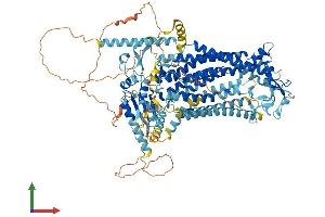 Protein Structure (PS) image for Anoctamin 2 (ANO2) (AA 1-1002) protein (His tag) (ABIN7564561)