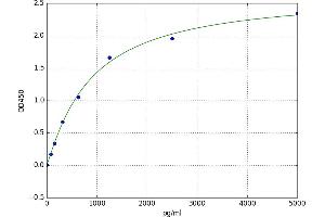 Acetyl-CoA Acetyltransferase 2 (ACAT2) ELISA Kit