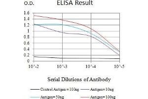 Black line: Control Antigen (100 ng),Purple line: Antigen (10 ng), Blue line: Antigen (50 ng), Red line:Antigen (100 ng) (JNK2 抗体  (AA 227-382))