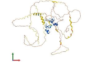 Protein Structure (PS) image for Zinc Finger Protein 36, C3H Type-Like 2 (ZFP36L2) (AA 1-484) protein (His tag) (ABIN7562992)